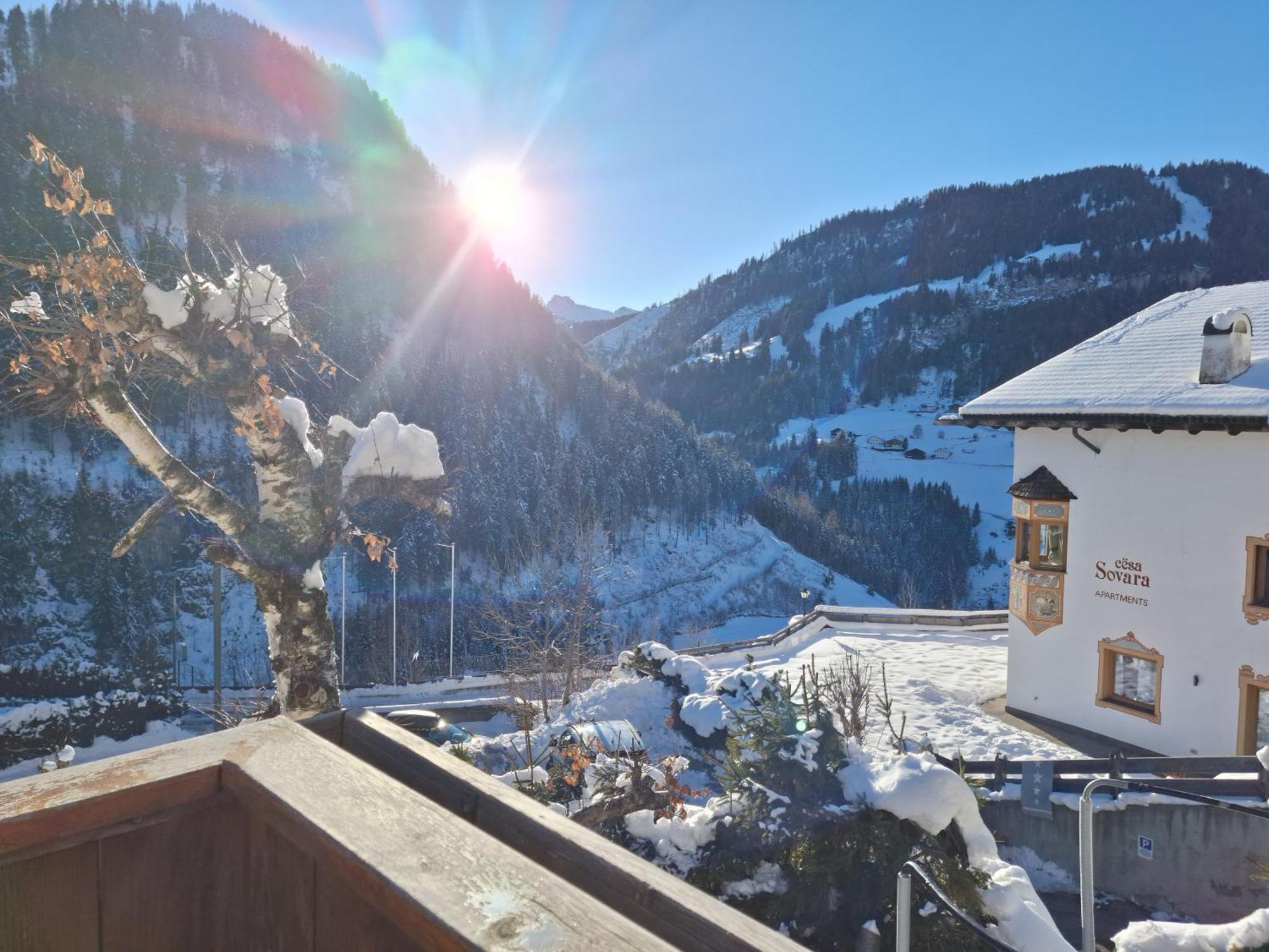 Apartments Insam Santa Cristina Val Gardena Eksteriør billede