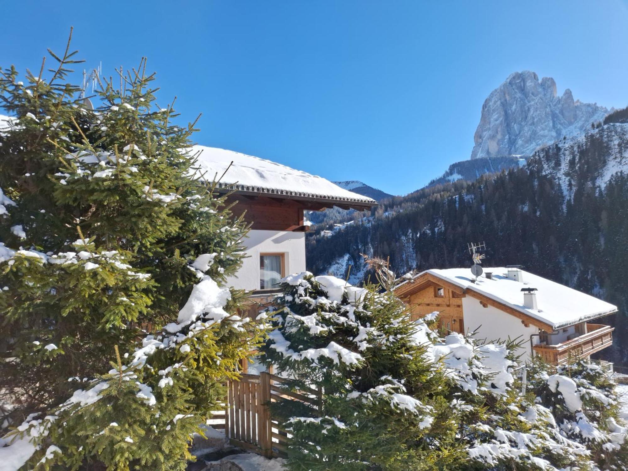 Apartments Insam Santa Cristina Val Gardena Eksteriør billede